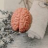 MIni mydełko glicerynowe mózg dla lekarzy klinik psychologow